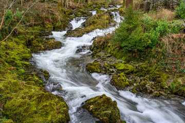 Fototapeta premium Waterfall in the forest 1662