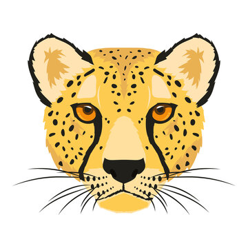 wild leopard animal head fauna character