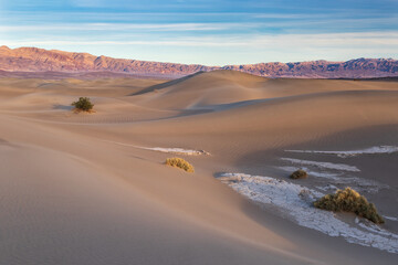 Sand dunes, in Death Valley, California. Rippled patterns on the sand; plants and mineral deposits...