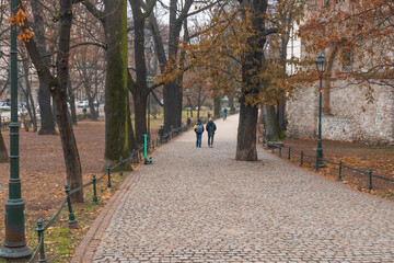 Poland, Krakow, landscape, autumn, park, path leaving into the distance, people are walking.