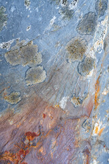 Rust and peeling blue paint portrait 4876