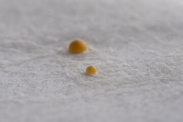 frozen drop of coffee on a block of dry ice