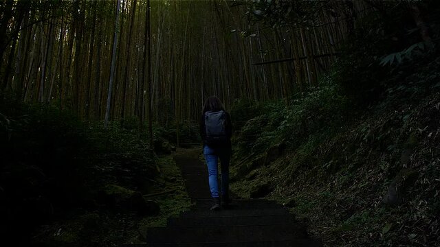 Girl walking up the stairs at bambu forest in Alishan National Forest Recreation Area, Alishan, Taiwan. High angle, traveling movement, slow motion, HD.