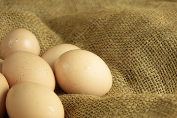 farm fresh chicken eggs on sackcloth background