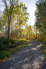 paved trail through an autumn park