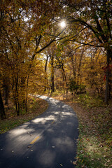 Naklejka premium sun above a path in the autumn forest