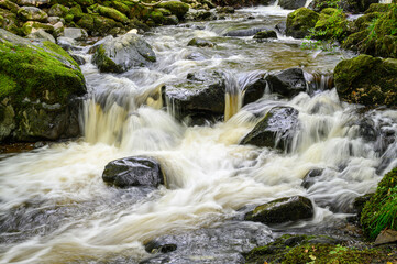Falls in the Lake District 6161