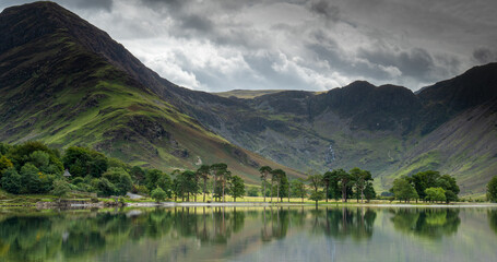 Panorama of Buttermere Pines with reflections on a still lake 2244