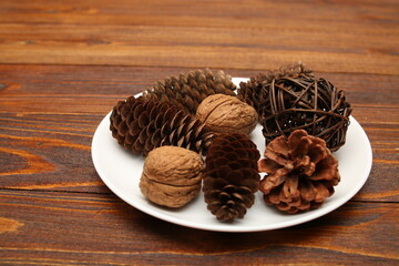 walnut open and closed close-up on white background texture worm