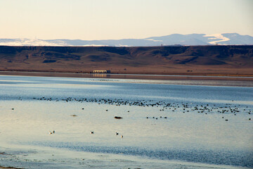 Landscape and view of lake during winter