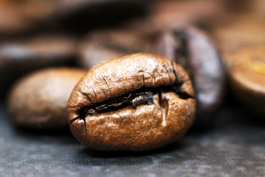 Closeup of coffee bean, macro 