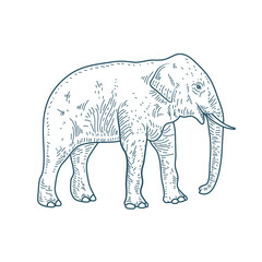 elephant realistic character drawn style icon