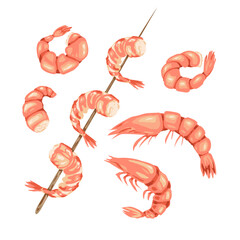 Shrimp set on white background, prawn.
