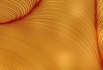 Light Orange vector backdrop with wry lines.