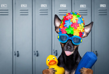 dog swim cap and goggles in locker room