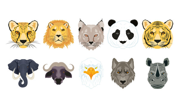 ten wild animals heads fauna characters