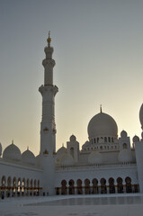 Fototapeta na wymiar Grande moschea di Abu Dhabi