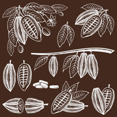 collection of cocoa beans, branch and leaves isolated on brown background