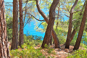Obraz premium mountain view of the Mediterranean Sea in Turkey