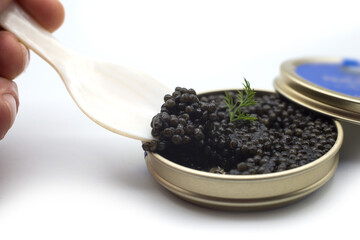  Closeup of caviar in a white nacre spoon with the metalllic box on white background