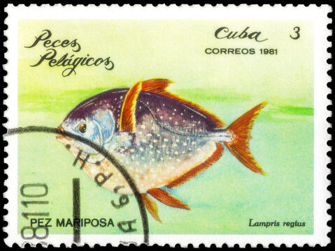 Postage stamp issued in the Cuba the image of the Opah, Lampris regius. From the series on Sea fishes, circa 1981