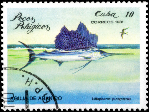 Postage stamp issued in the Cuba the image of the Indo-Pacific Sailfish, Istiophorus platypterus. From the series on Sea fishes, circa 1981