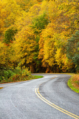 Obraz premium Curvy Road in Autumn on Blue Ridge Parkway
