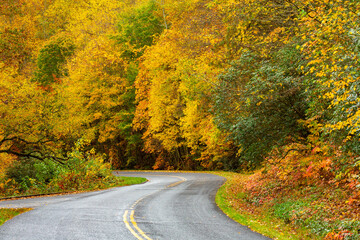 Naklejka premium Curved Road on a Fall Day On Blue Ridge Parkway