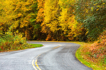 Gorgeious Fall Colors on Blue Ridge Parkway