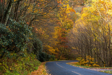 Blue Ridge Parkway Road in Fall Colors