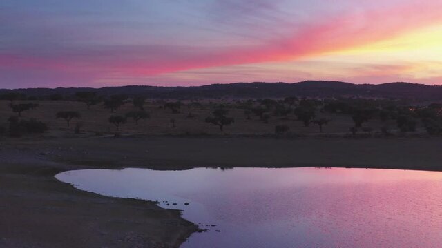 Drone aerial panorama of a dam lake reservoir landscape with olive and cork trees in Alentejo Terena, Portugal