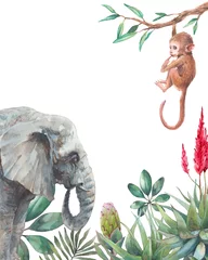  Tropical frame. Illustration with elephant and chimp. Watercolor animal and jungle flora on white background. © ldinka