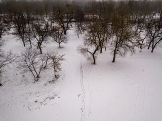 Aerial drone view. A path in a snowy park.