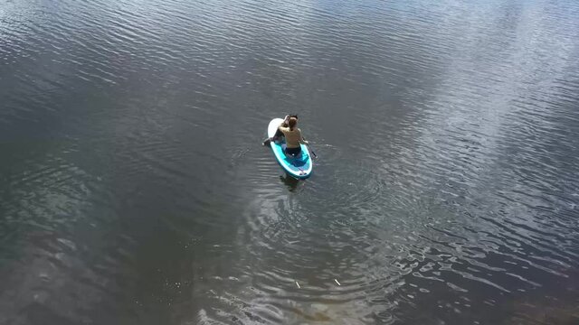 Girl swims on a SAP board with a husky dog. Walk on the lake near the spring pine forest.