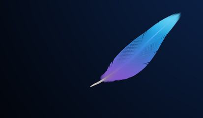 blue and purple bird feather isolated with a black background - digital drawing symbol of fragility and emotion