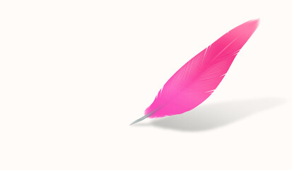 pink and purple bird feather isolated with shadow on a blank background - digital drawing symbol of feminity feeling writing a letter