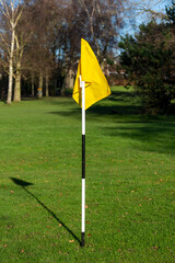 Golf pin with yellow flag