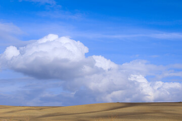 Fototapeta na wymiar Sustainable agriculture: plowed land with blue sky and clouds.