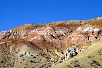 Russia, Altai, Chuiskaya steppe, Kyzyl-Chin tract, 