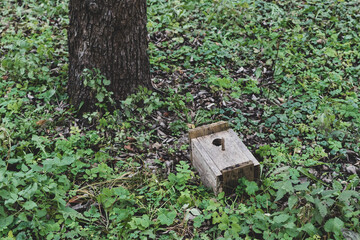 The bird house is lying near a tree
