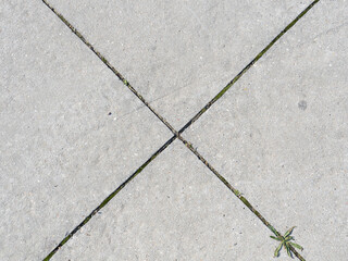 Abstract texture, concrete floor with joints.