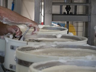 Man placing labels on the side of cheese molds during their preparation