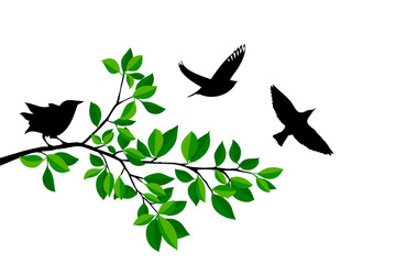 Flying birds from a tree branch. Vector illustration