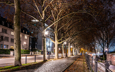 City of Frankfurt at night - lights on trees