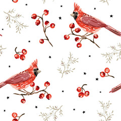 Christmas seamless pattern, cardinal bird, red berries, twigs, stars, white background. Vector illustration. Nature design. Season greeting. Winter Xmas holidays