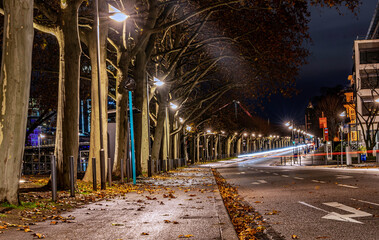 City of Frankfurt at night - lights on trees