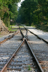 Fototapeta premium Old Style Railroad Tracks Merge or Go Separate Ways Through the Woods