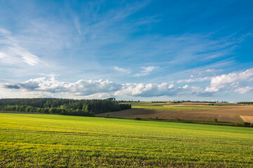 Green field with agriculture meadow and blue sky. Panoramic view to grass on the hill on sunny spring day