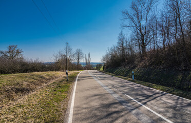 Fototapeta premium Beautiful road in the nature. Green field with agriculture meadow and wildflowers in peaceful garden. 