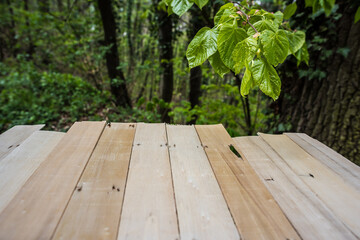 Simply wooden empty with lots of free space on the wooden table.